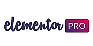 Elementor_logo_pro_rickidwebdesign